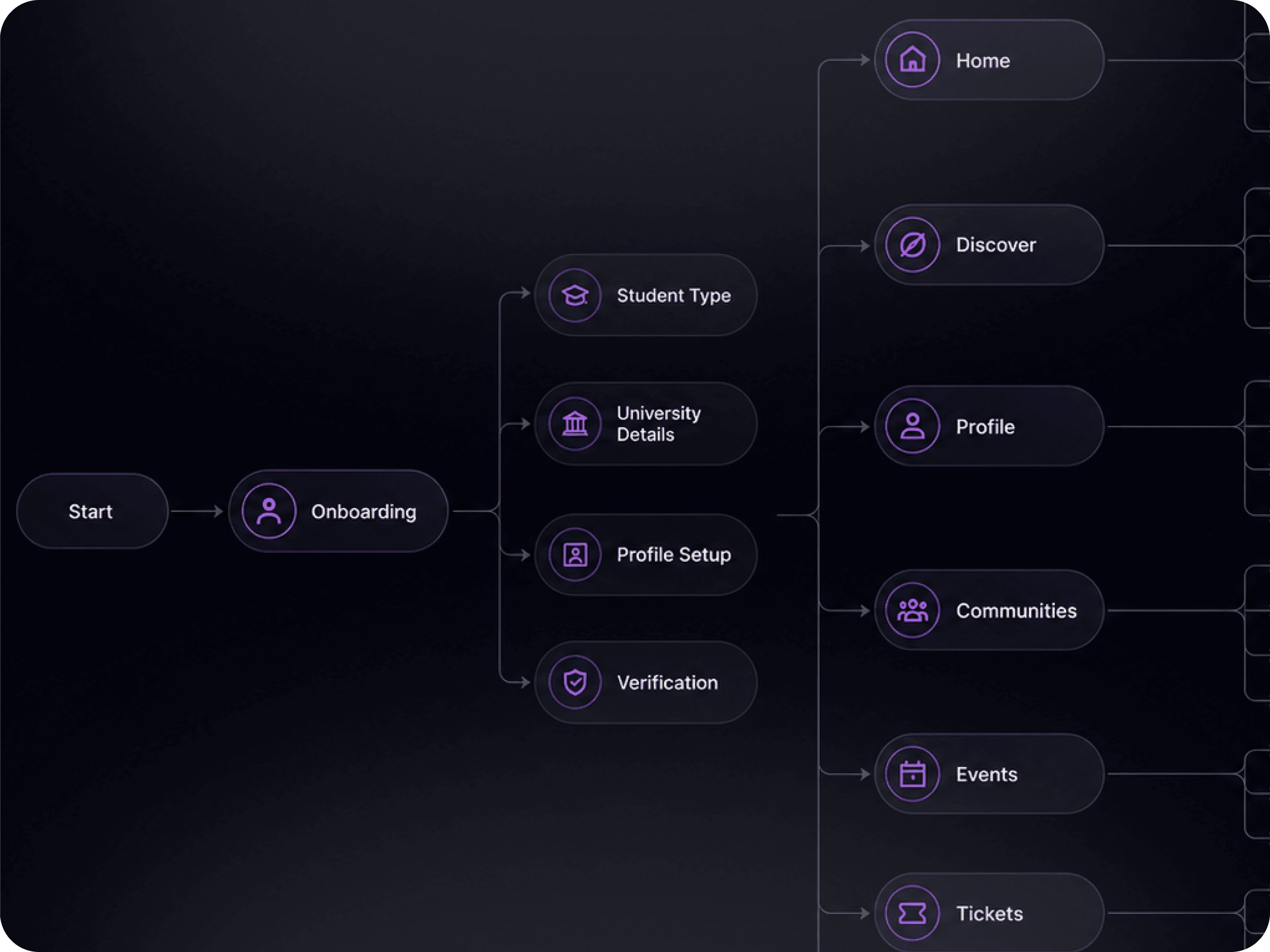 The information architecture